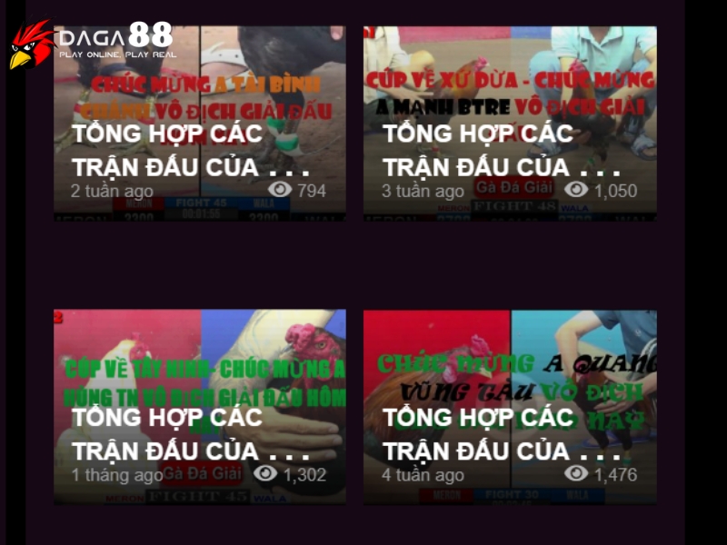 Những sản phẩm đá gà trực tiếp có tại Đá Gà 88