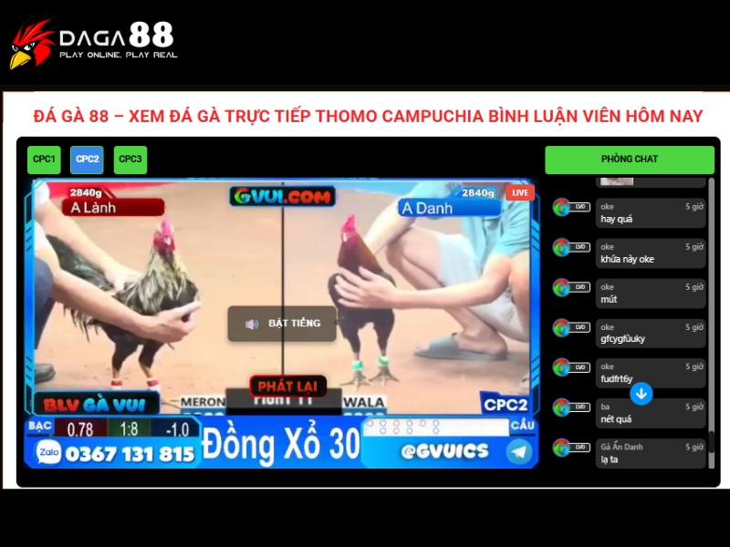 Tìm hiểu chung về nền tảng đá gà trực tiếp Đá Gà 88